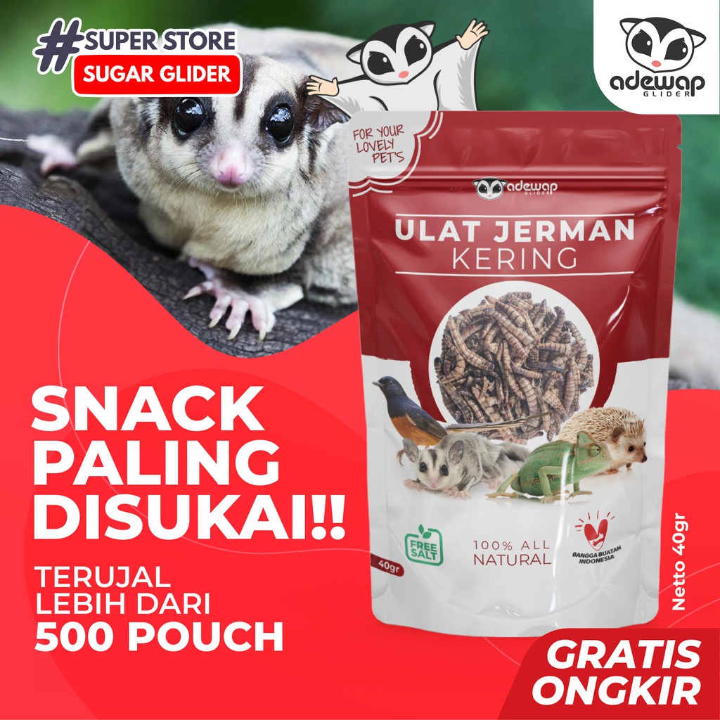 ADEWAP GLIDER Ulat Jerman Kering Dried Super Worm Cemilan Sugar Glider - 40gr