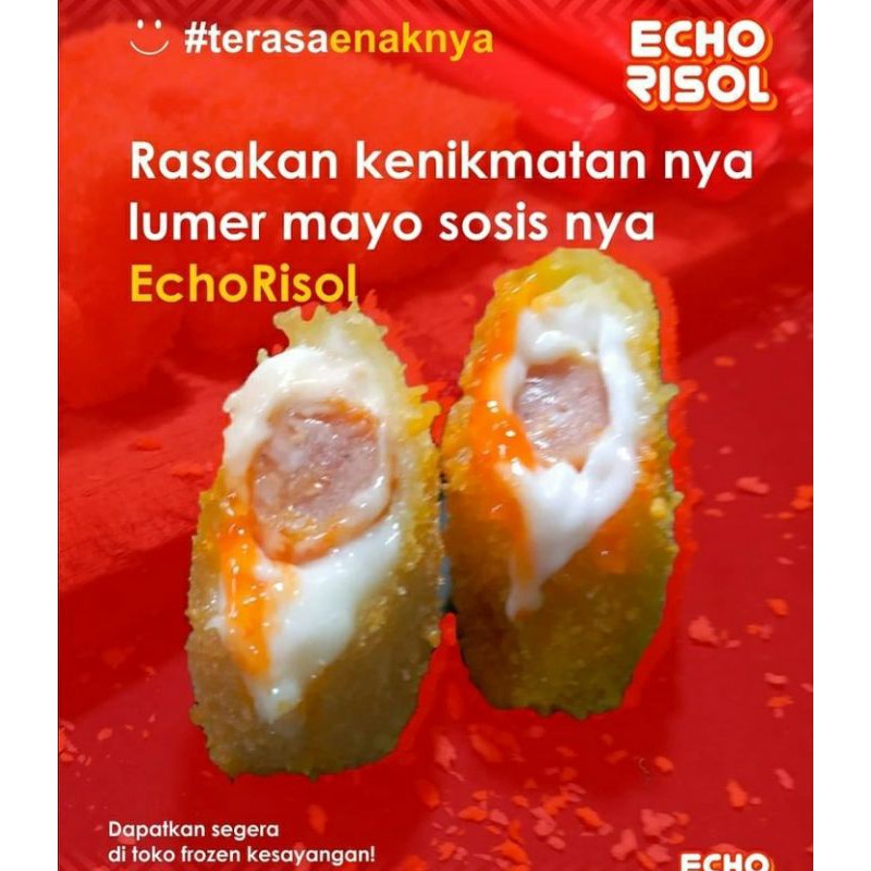 

RISOL ECHO MAYO FROZEN