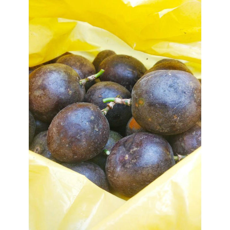 

0.5 KILOGRAM BUAH MARKISA HITAM RASA ASAM. ASLI BRASTAGI/SIDIKALANG.MEDAN.( Passion Fruits) ,Untuk buat sirup/juice. Pengiriman dari medan yang baru Petik. banyak manfaatnya ,Antioksidan Tinggii