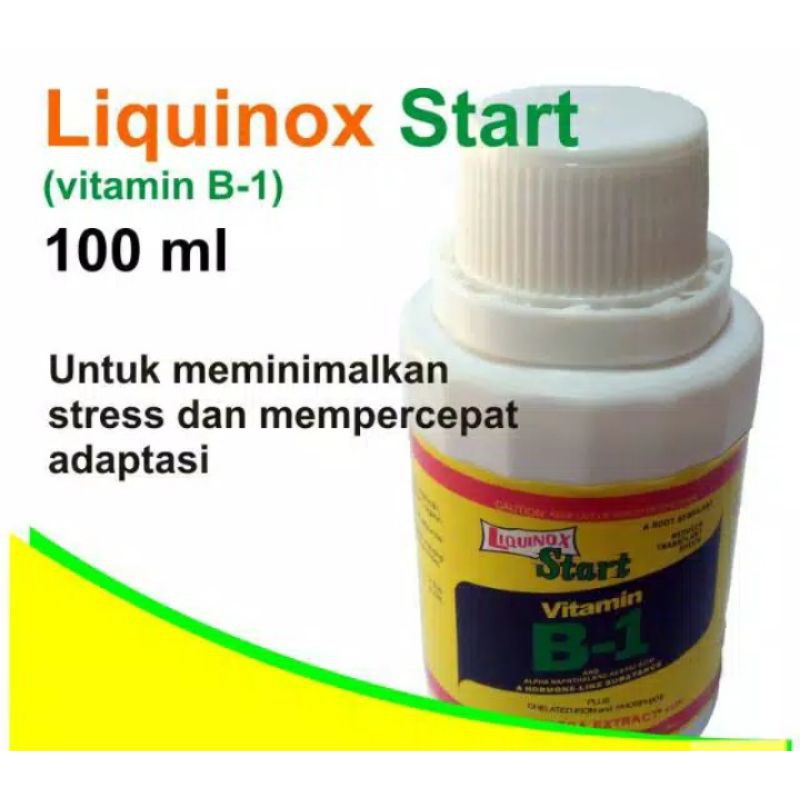 vitamin B1 liquinox