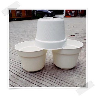 Pot Bunga 20cm Putih Motif SERAT KAYU POLOS Pot Pot Bunga 20cm Putih Motif SERAT KAYU POLOS Pot
