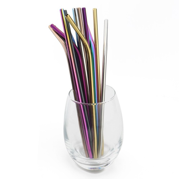 Set Stainless Steel Straws with Pouch (5pcs)