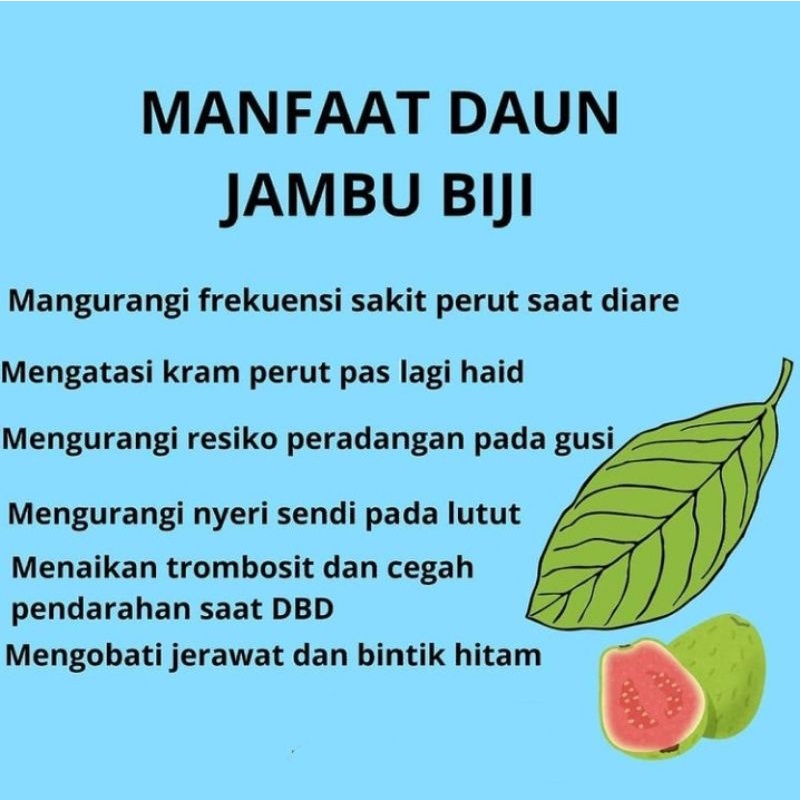 

Herbal Daun Jambu biji