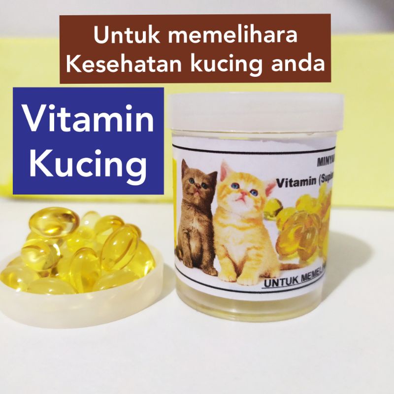 VITAMIN KUCING , minyak ikan