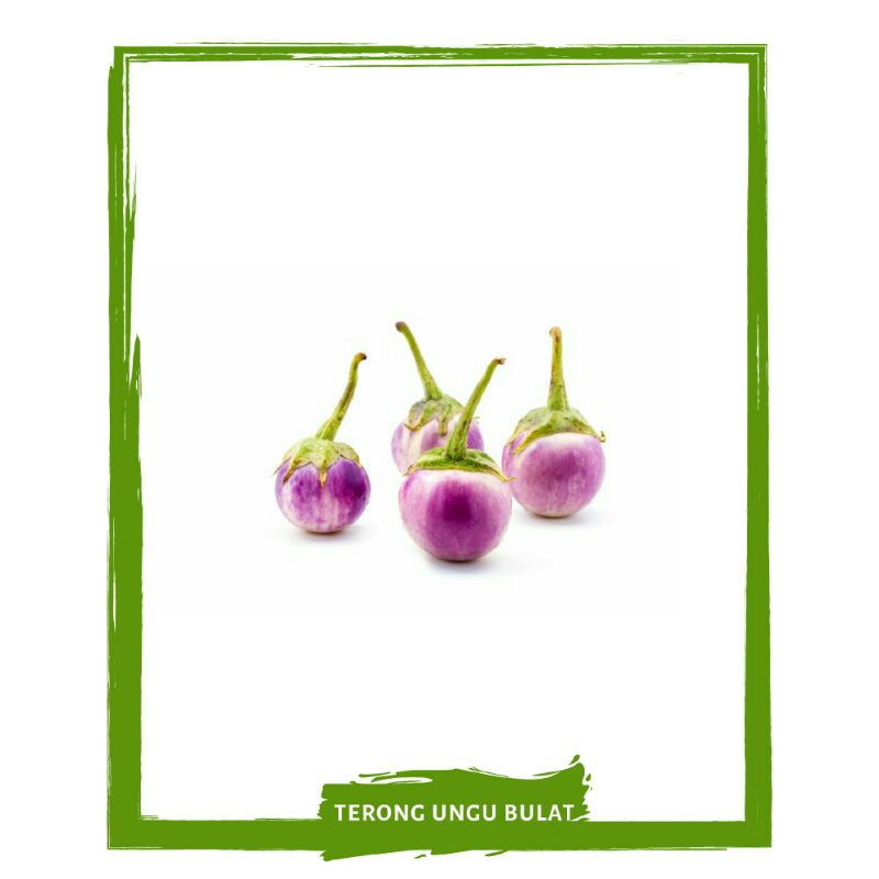 

Terong Bulat Ungu / Sayur Sayuran Segar By Mallahrizwa