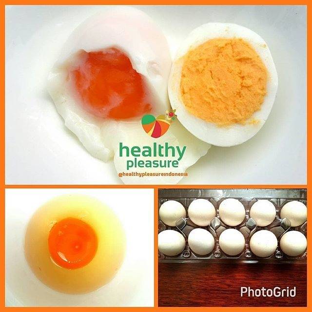 

FREE RANGE KAMPONG EGGS 1 TRAY 10 BUTIR