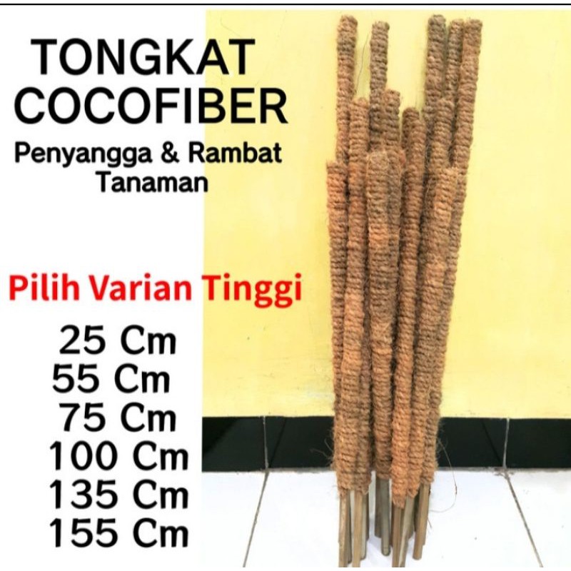 TURUS PENYANGGA TANAMAN RAMBATAN TANAMAN TIANG RAMBATAN TANAMAN MURAH