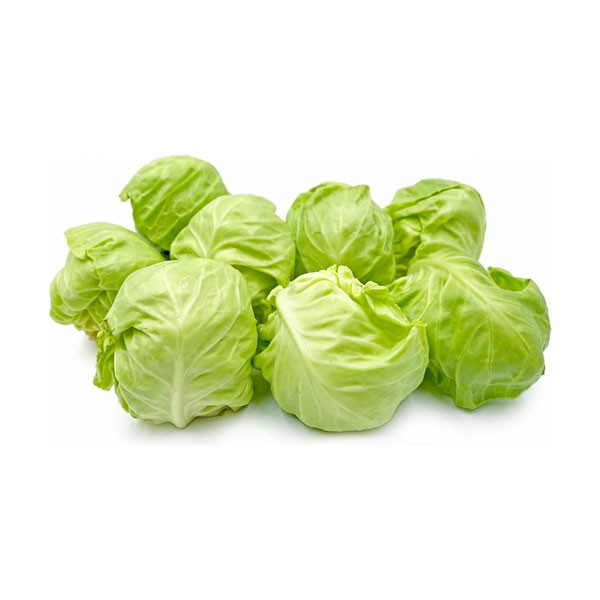 

Baby Kol / Cecuiwis /500g