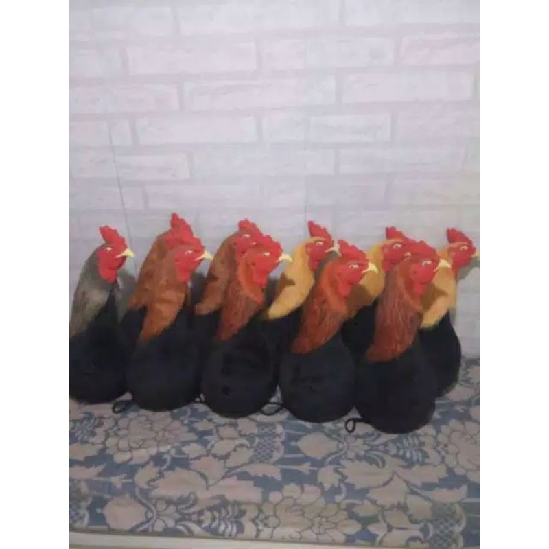 81 Gambar Binatang Lucu Ayam Adu HD Terbaru
