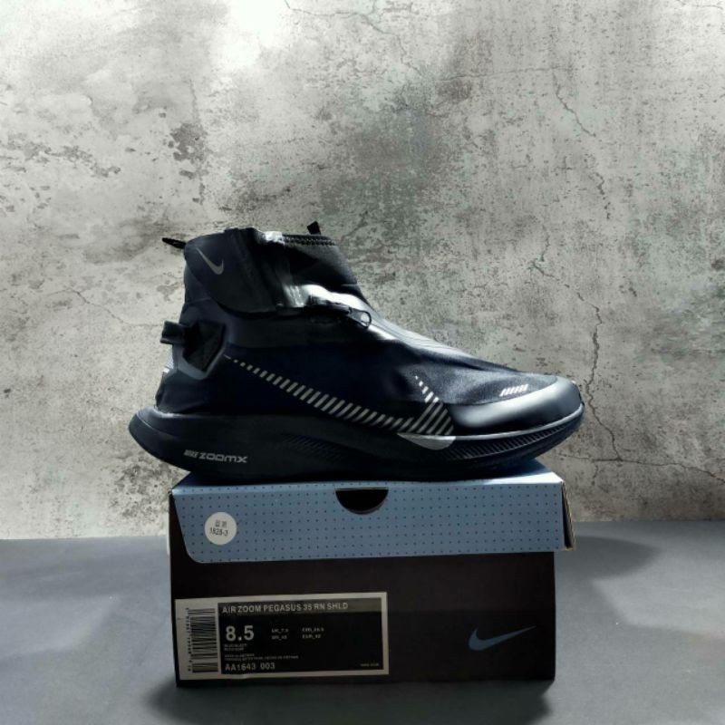 Nike pegasus