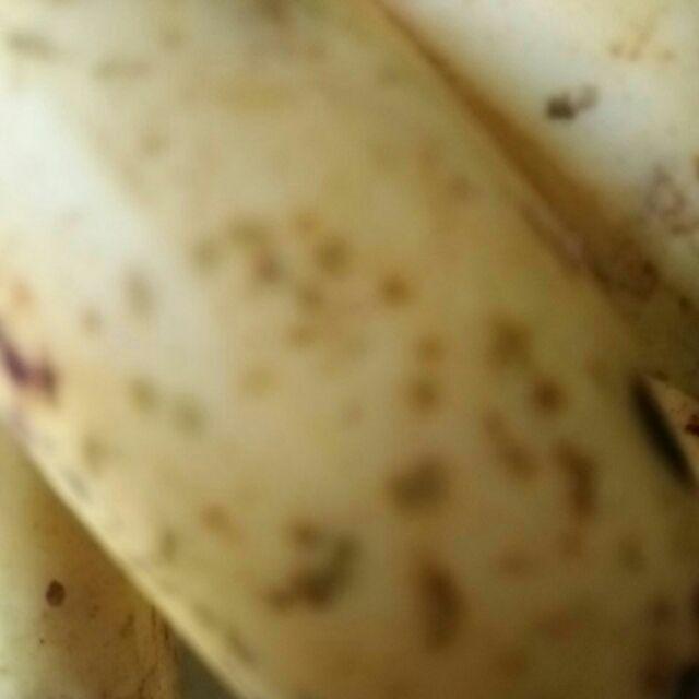 Sarung Batik Pekalongan Terlaris