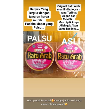 Ratu arab original,bibit ratu arab