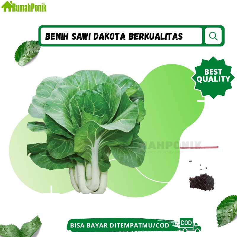 Benih Sayuran Sawi Putih Dakota / Benih Sawi Putih Dakota / Bibit Sawi Putih Dakota