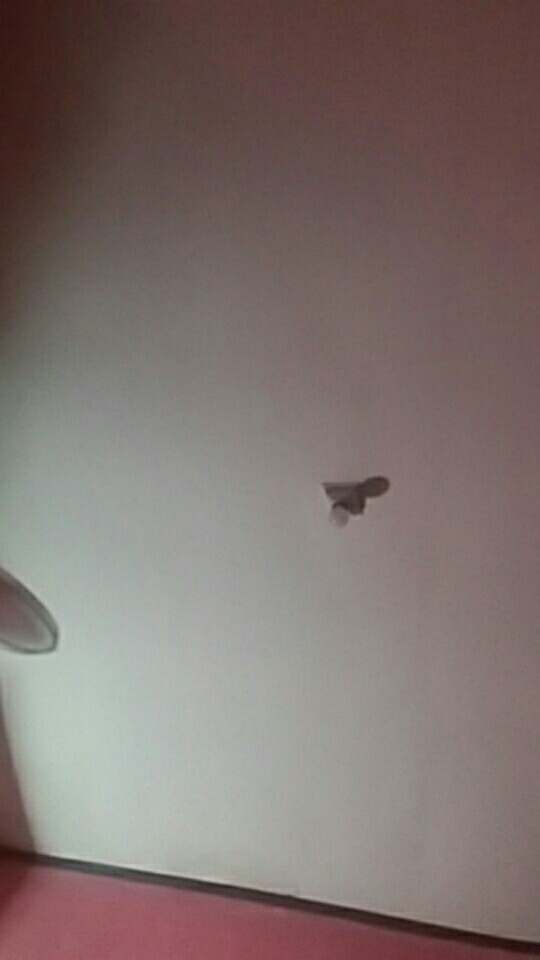 Benang Raja Dress Anak Batik Katun Ld 70cm