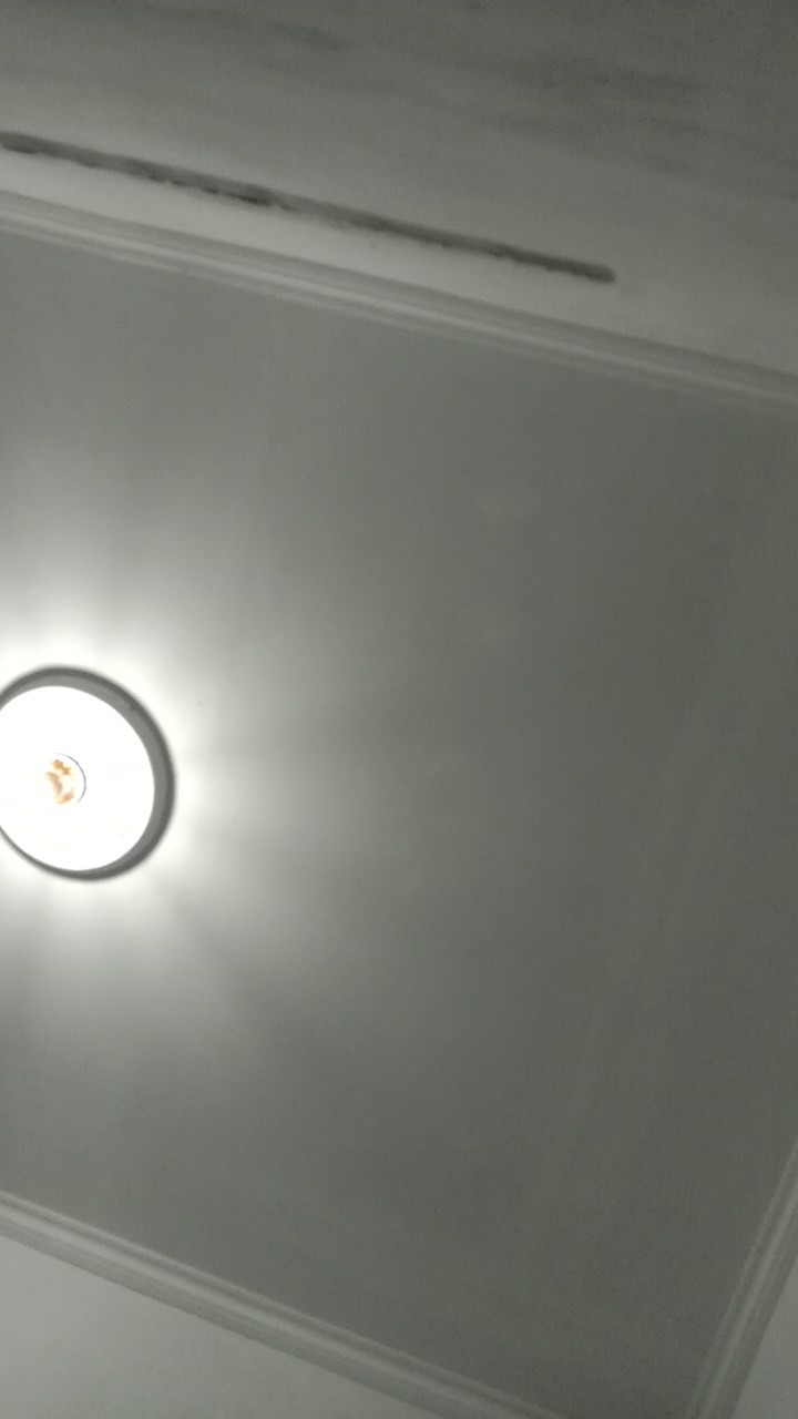 Kuas Silikon Roti Silicone Cake Barbecue Mentega Food Brush