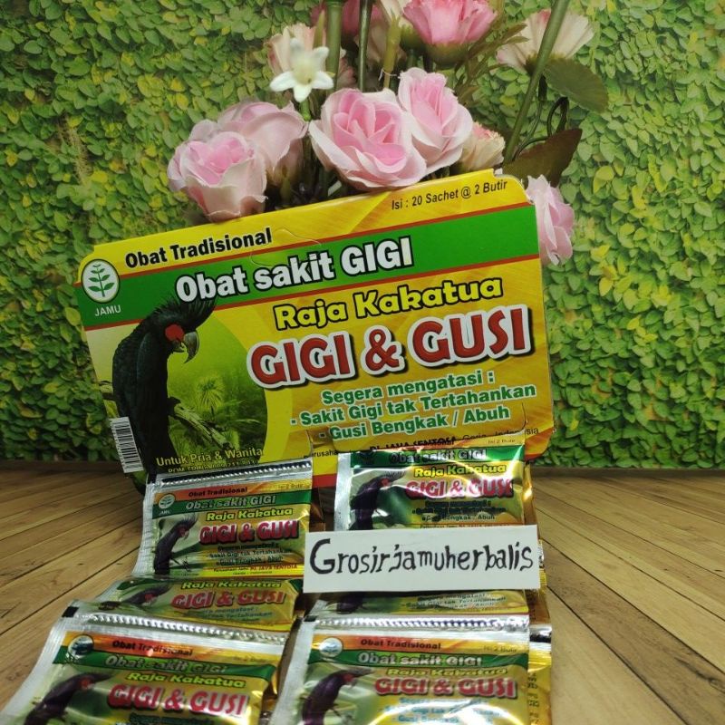 Kaka tua obat gusi
