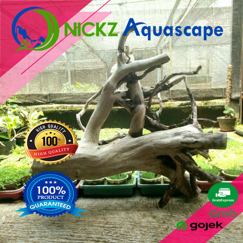 KAYU AQUASCAPE / SANTIGI LAUT SIZE XL / MOTIF RANDOM / BERKUALITAS / TERMURAH