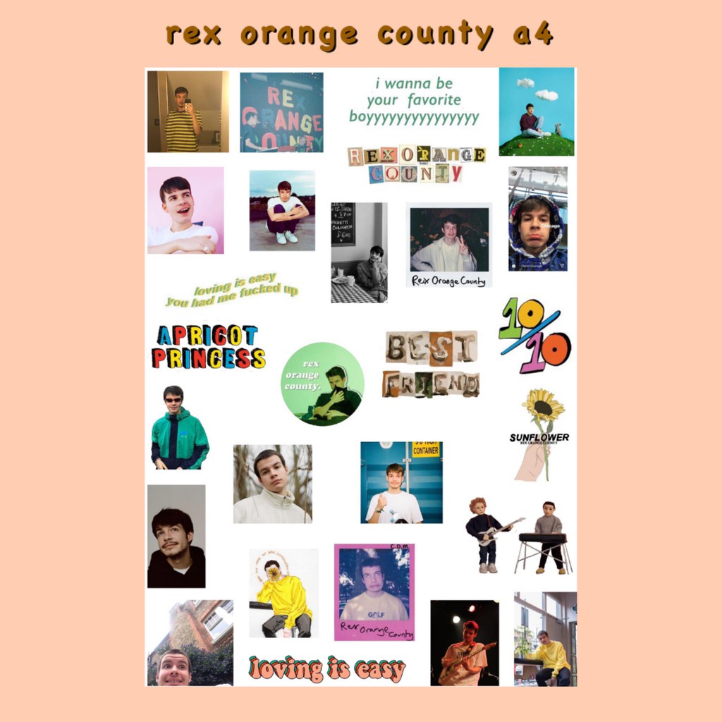 

STICKER REX ORANGE COUNTY A4