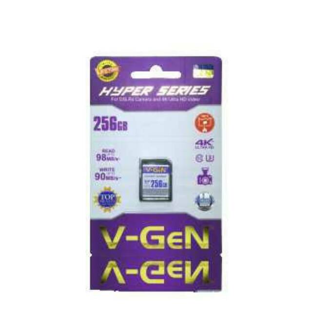 Memory vgen 256 gb
