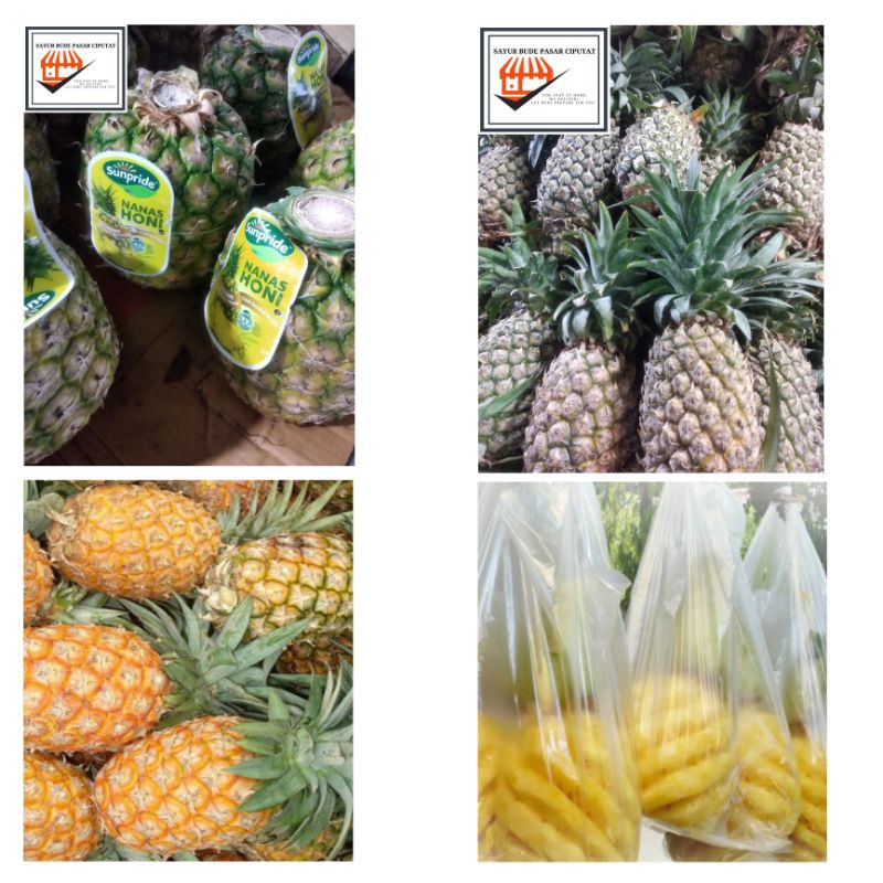 

Nanas All Varian (Nanas Honi Sunpride/ Nanas/ Nanas Madu/ Nanas Madu Kupas per pcs)