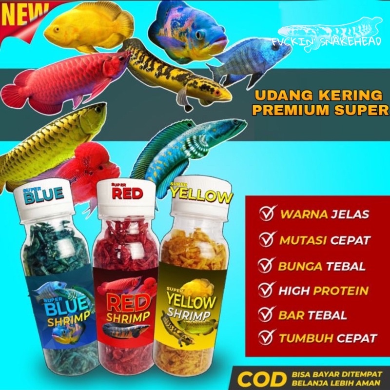 UDANG KERING SUPER PAKAN IKAN CHANNA MARU YELLOW SENTARUM AURANTI LIMBATA PULCHRA ORNA ASIATICA BLEH