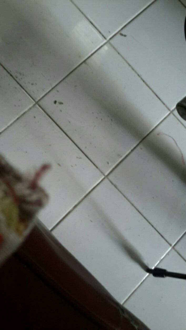 Rinso Anti Noda + Molto Parfume Essence 240g Deterjen Bubuk 240 Gr