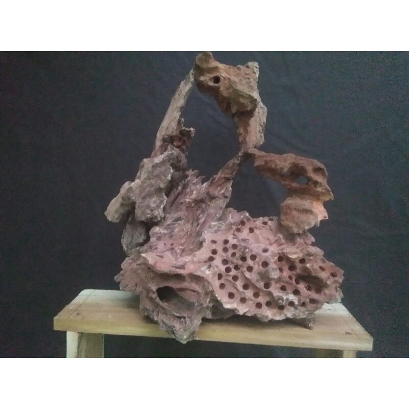 kayu rentek aquascape