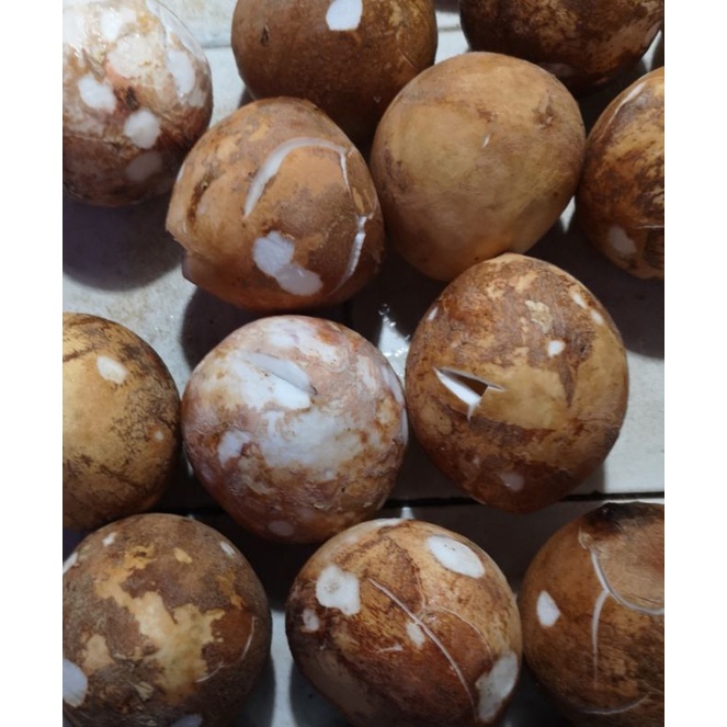 

Kelapa dan kelapa parut segar