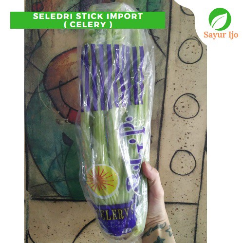 

Seledri Stick Import 700 - 1000 Gram / Pack Fresh Batang Celery Celeriac Sayur Hijau Segar