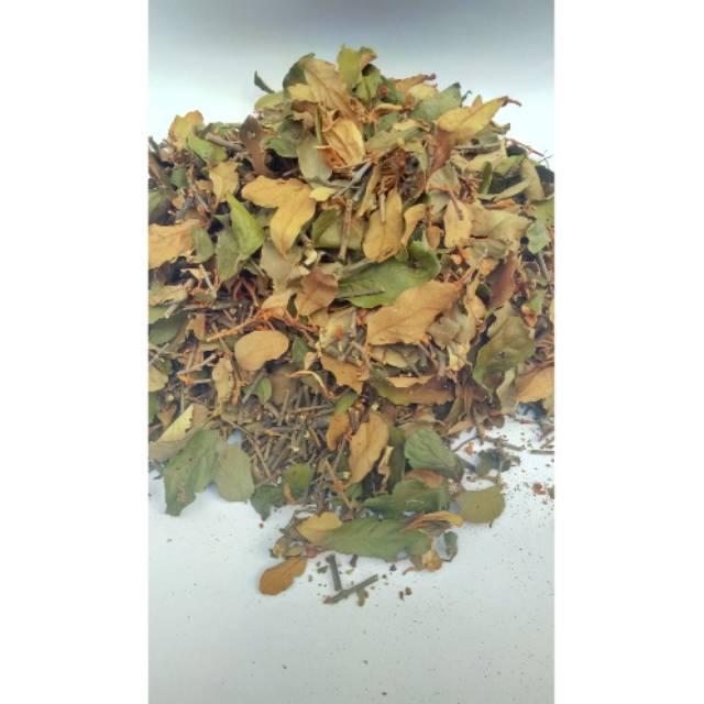 

BENALU KOPI KERING 100 GRAM