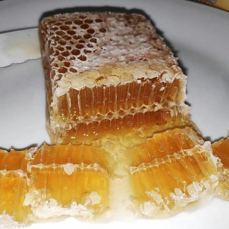 

SARANG MADU MURNI ASLI SUMATERA.