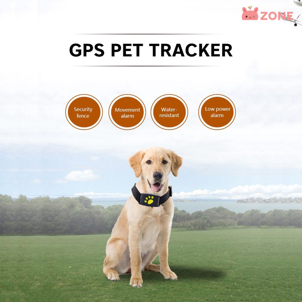 Z "Kalung GPS Pelacak Anjing Kucing Tahan Air Dengan Fungsi GPS USB Charging