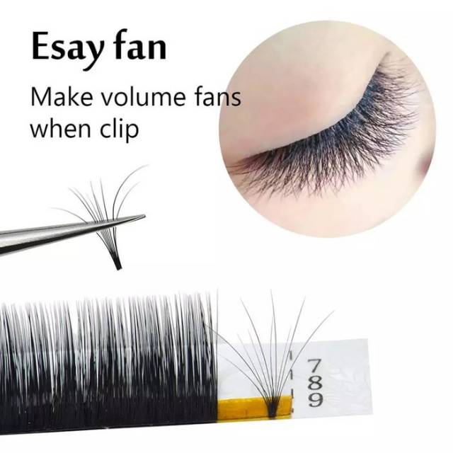 Volume eyelash / auto fan eyelash extension lagee