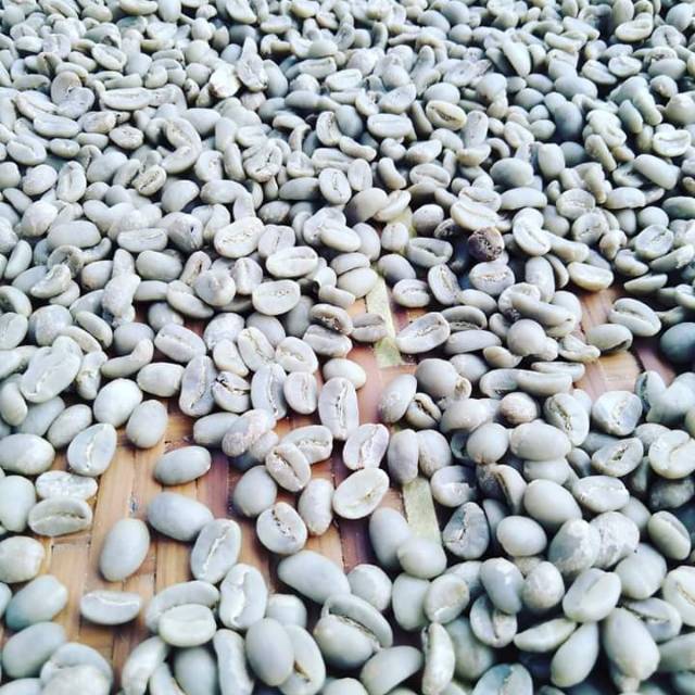 

Coffee grean bean