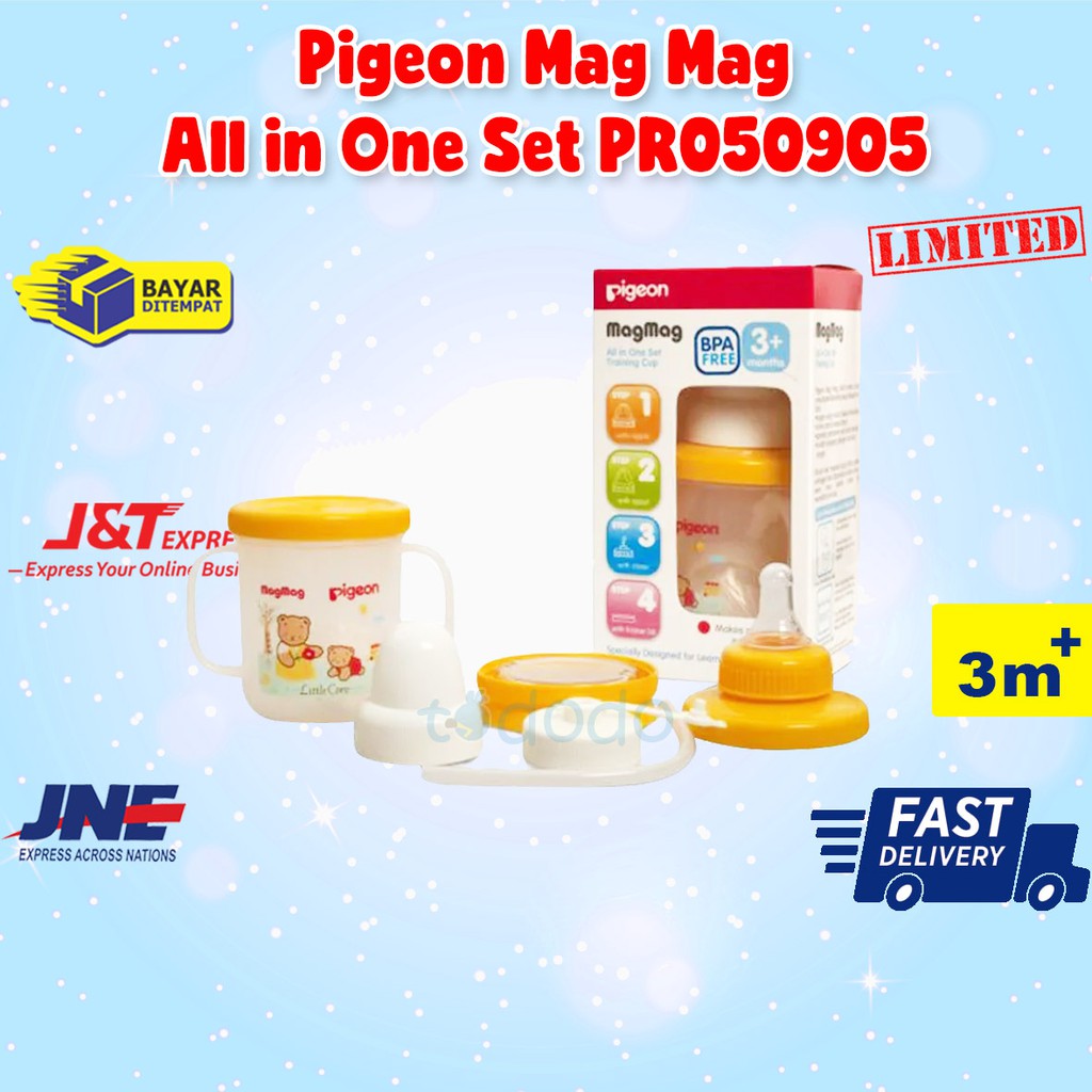 Pigeon Mag Mag All in One Set PR050905 - Perlengkapan Minum Anak
