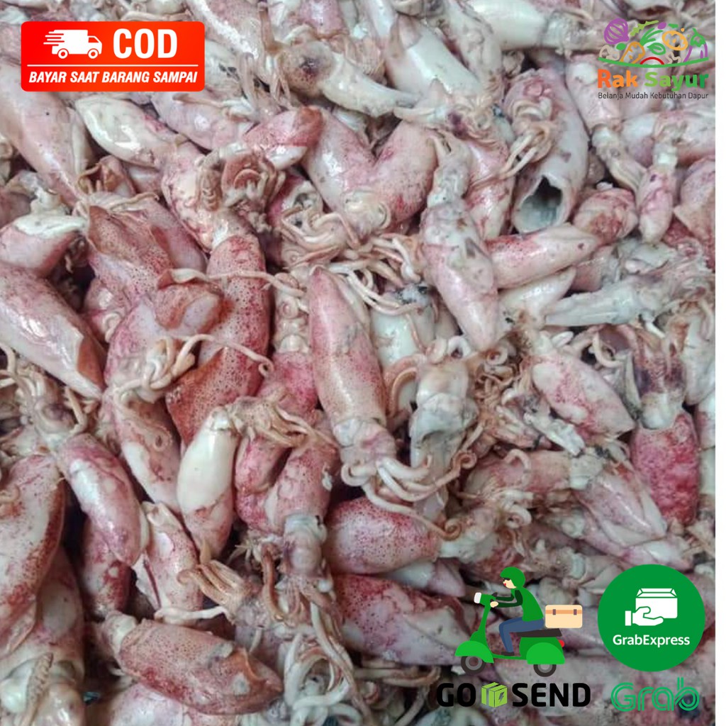 

Cumi Cumi Asin Kering Cumi Pete 250gr Daging Ikan Segar Rak Sayur Padang