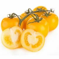 Benih Bibit Biji - Tomato Golden Sunrise Seeds - IMPORT