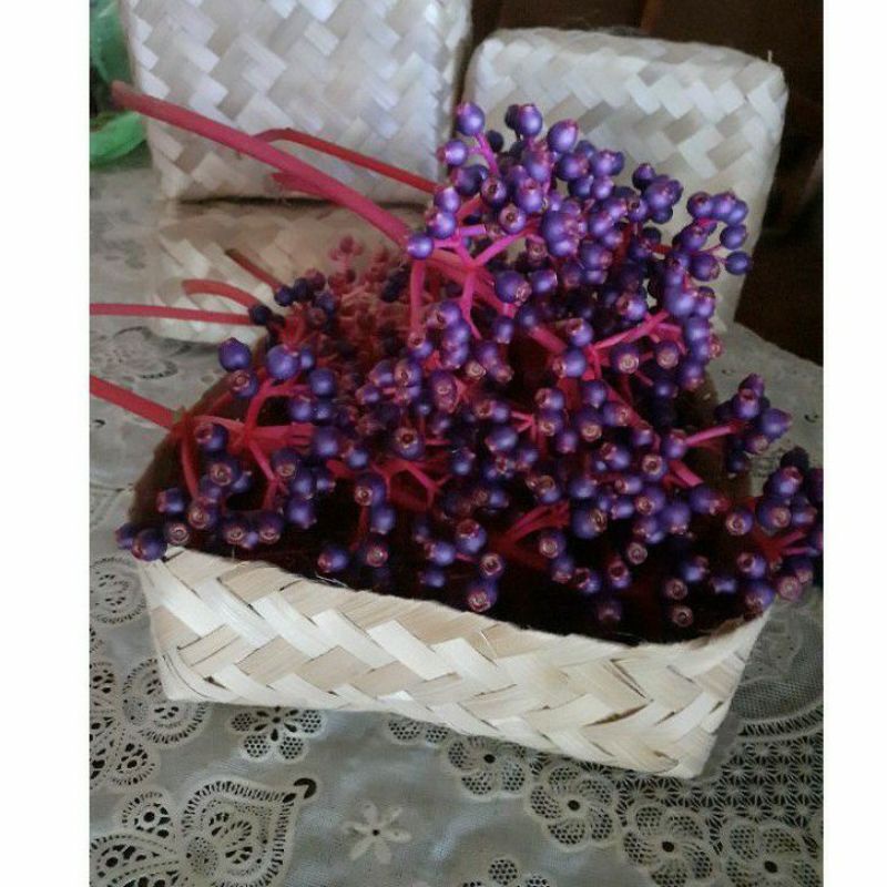 

Parijoto Promil Fress Asli Muria 500gr / Buah Parijoto