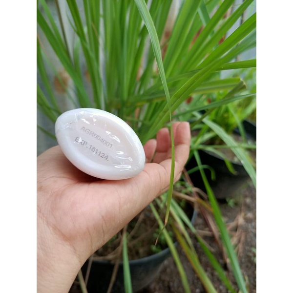 HB WHITENING SUPER 4001 ORIGINAL AMPUH HB ANGGUR