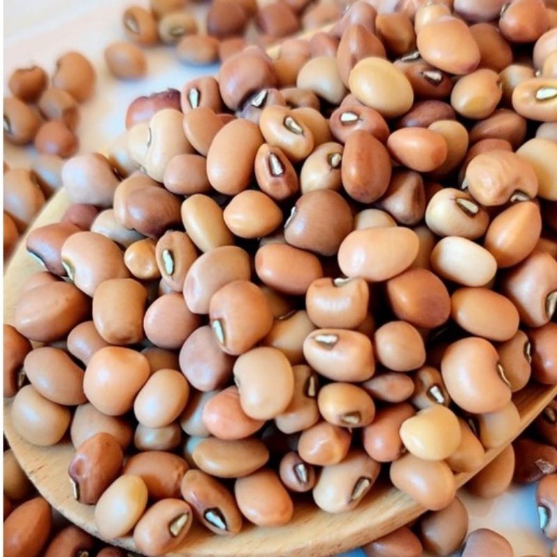 

kacang tunggak / kacang tolo premium 500gr