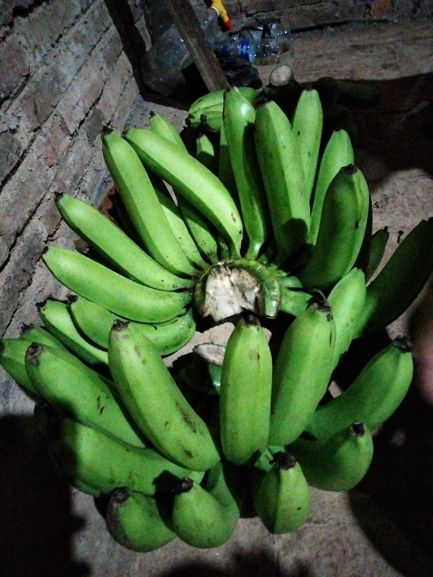 New Kemeja Batik Slimfit Exclusive Original Butik Atasan Batik Seragam M L Xl Xxl