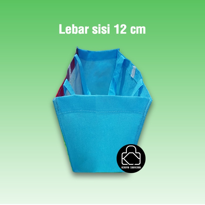 Tas Ultah / Tas Ulang Tahun Anak / Tas Ultah Frozen-1