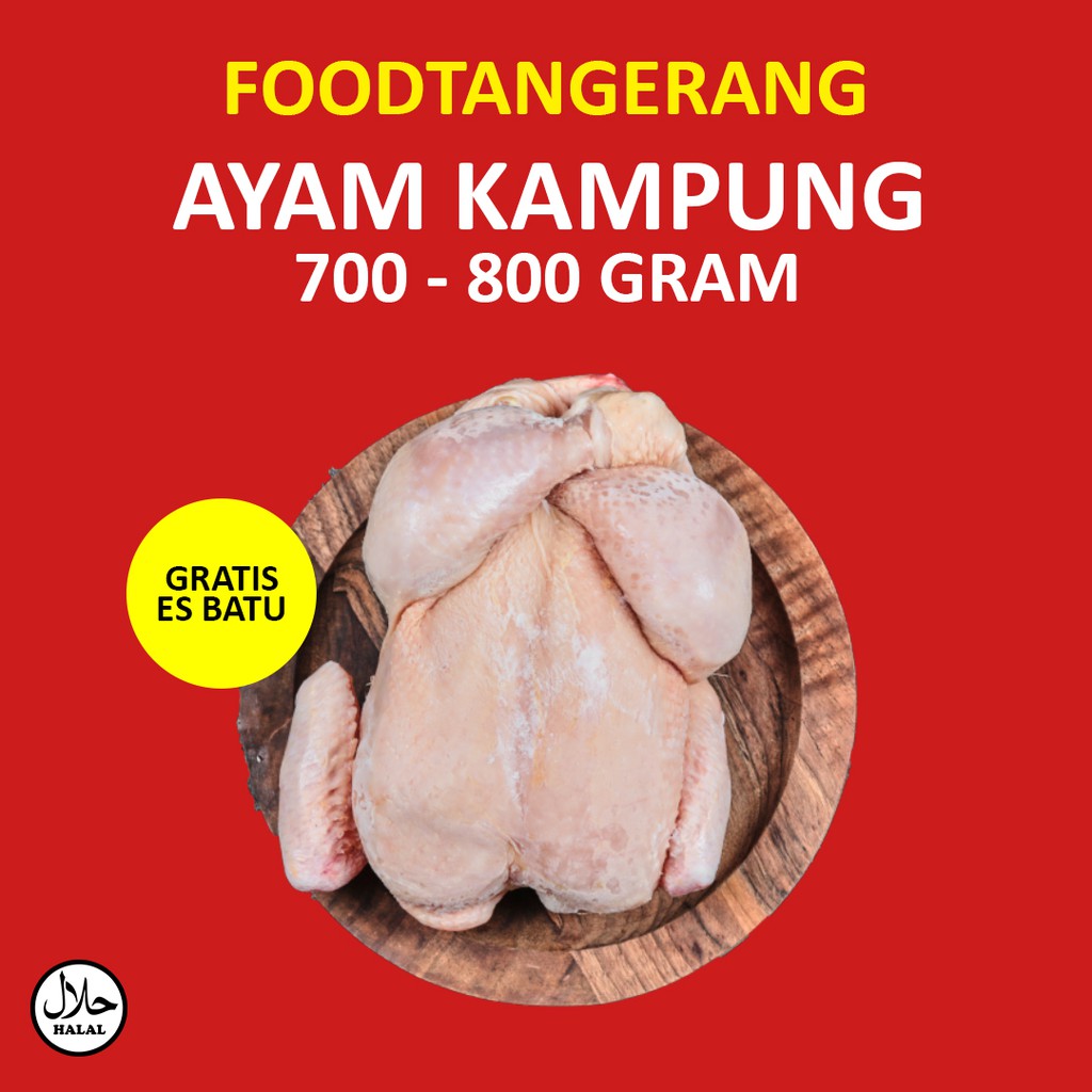 

Ayam Potong Kampung Segar Dan Murah / Ayam Segar Promo