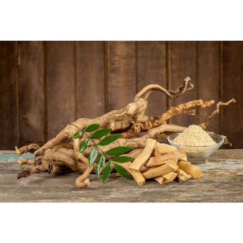 

BUBUK PASAK BUMI /BUBUK TONGKAT ALI 50 gr PENAMBAH STAMINA PRIA