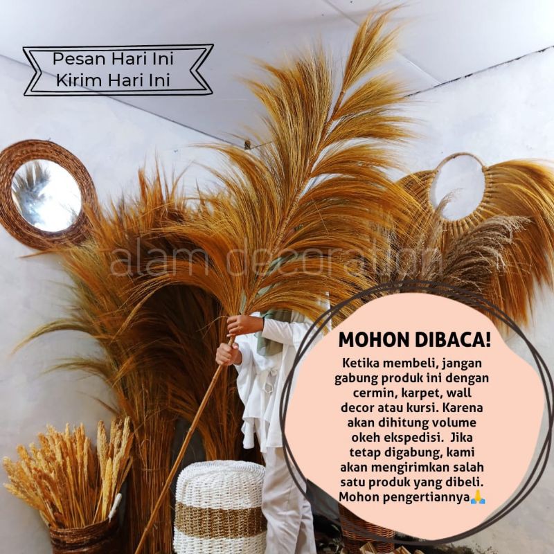 STIK RAYUNG ORIGINAL, PAMPAS LOKAL DEKORASI RUSTIK, HOME DECOR INTERIOR