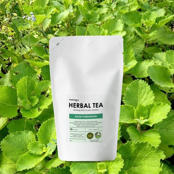 

TEH CELUP TORBANGUN / Teh Torbangun Pelancar ASI / Torbangun Leaf Tea / Teh Herbal Alami Premium