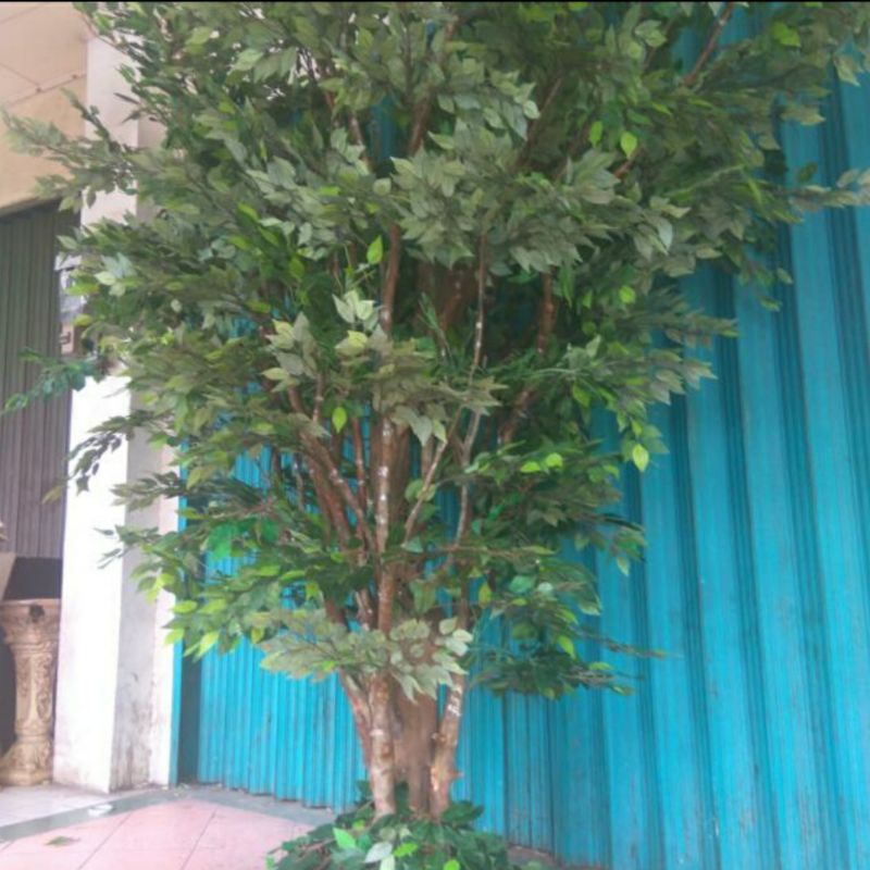 pohon beringin plastik artificial