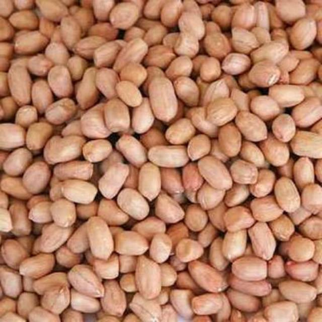 

kacang tanah / Kacang mentah - 500 gram