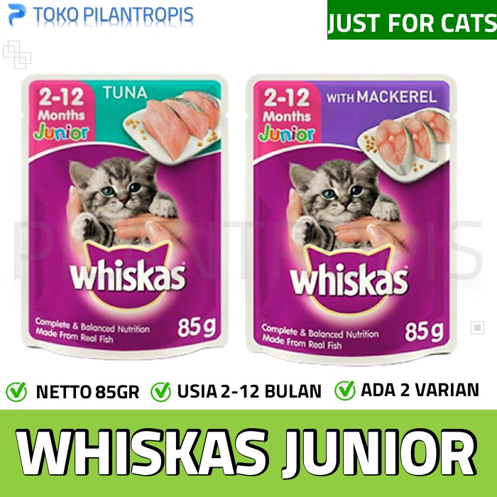 WHISKAS JUNIOR POUCH 80GR WISKAS MAKANAN BASAH KUCING WET FOOD KITTEN MURAH ORIGINAL