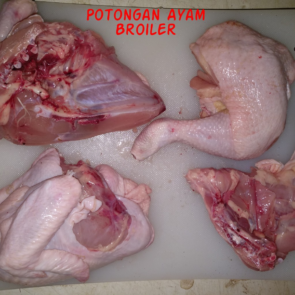 

AYAM BROILER/NEGERI/PEDAGING POTONGAN [1 - PCS]